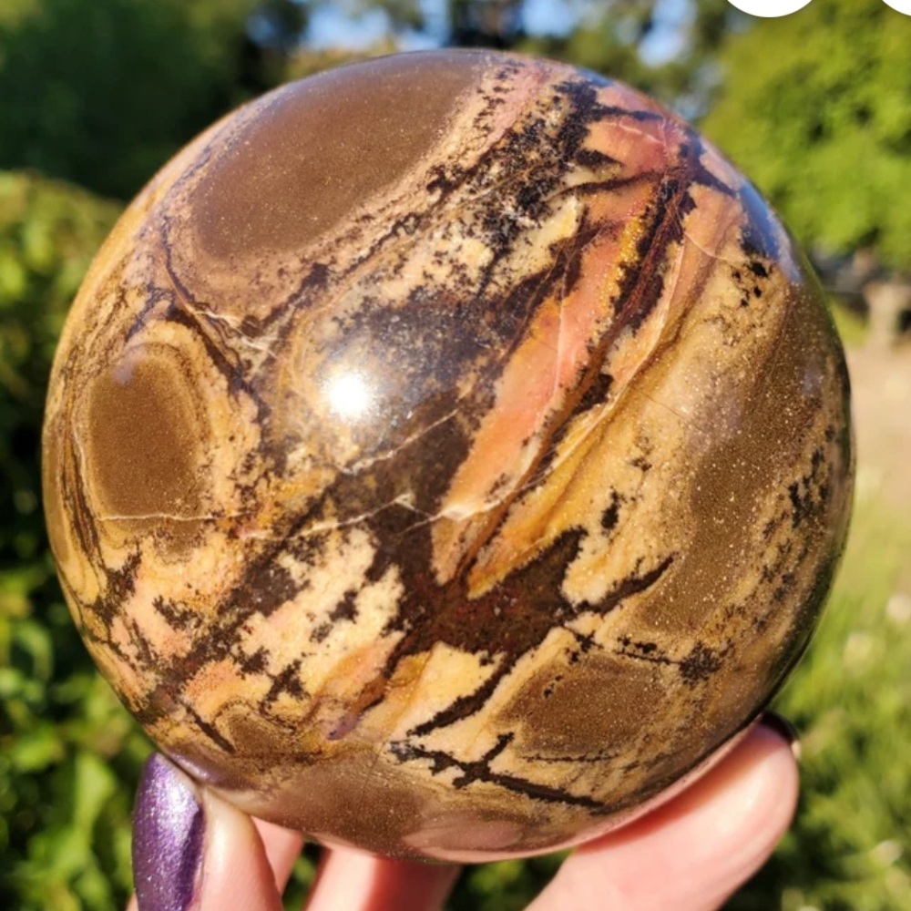 Outback Jasper